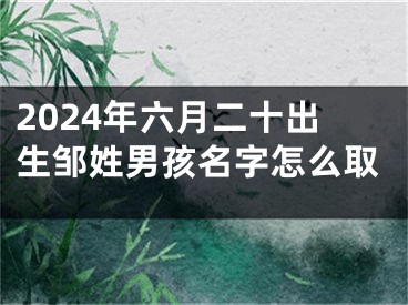 2024年六月二十出生邹姓男孩名字怎么取