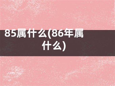 85属什么(86年属什么)