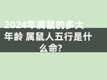2024年属鼠的多大年龄 属鼠人五行是什么命?