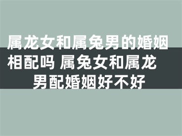 属龙女和属兔男的婚姻相配吗 属兔女和属龙男配婚姻好不好