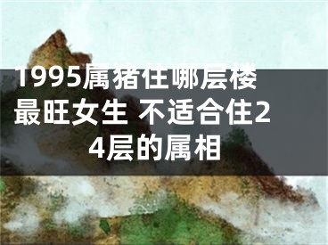 1995属猪住哪层楼最旺女生 不适合住24层的属相
