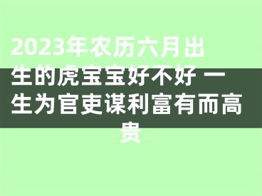 2023年农历六月出生的虎宝宝好不好 一生为官吏谋利富有而高贵