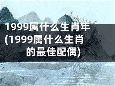1999属什么生肖年(1999属什么生肖的最佳配偶)