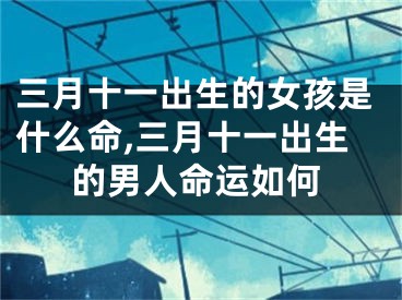 三月十一出生的女孩是什么命,三月十一出生的男人命运如何