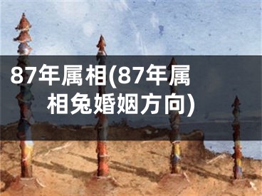 87年属相(87年属相兔婚姻方向)