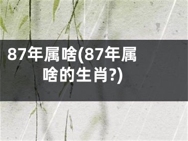 87年属啥(87年属啥的生肖?)