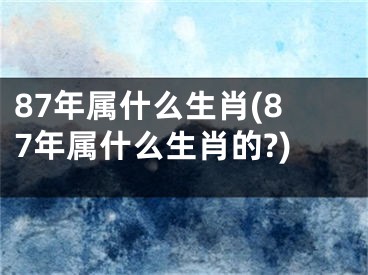 87年属什么生肖(87年属什么生肖的?)