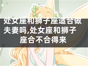处女座和狮子座适合做夫妻吗,处女座和狮子座合不合得来