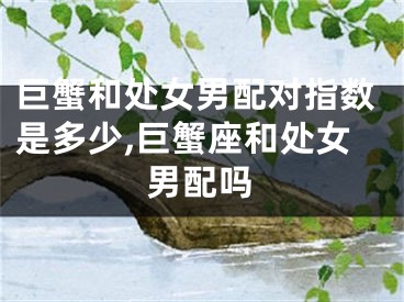 巨蟹和处女男配对指数是多少,巨蟹座和处女男配吗