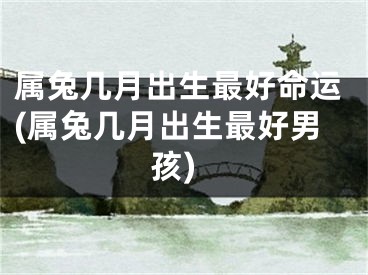 属兔几月出生最好命运(属兔几月出生最好男孩)