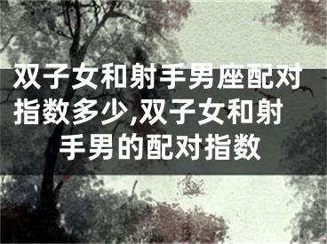 双子女和射手男座配对指数多少,双子女和射手男的配对指数
