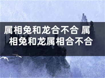 属相兔和龙合不合 属相兔和龙属相合不合