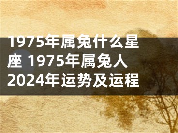 1975年属兔什么星座 1975年属兔人2024年运势及运程