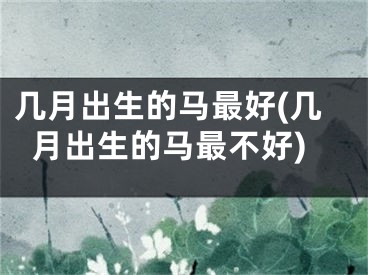 几月出生的马最好(几月出生的马最不好)