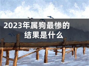 2023年属狗最惨的结果是什么