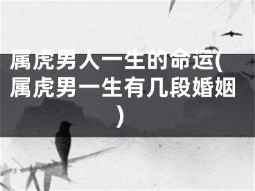 属虎男人一生的命运(属虎男一生有几段婚姻)
