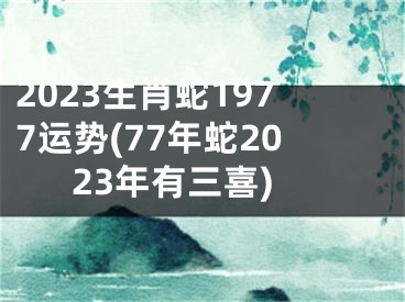 2023生肖蛇1977运势(77年蛇2023年有三喜)