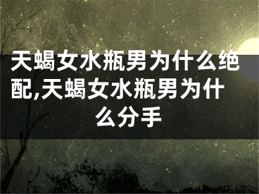 天蝎女水瓶男为什么绝配,天蝎女水瓶男为什么分手