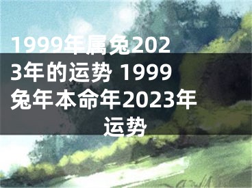 1999年属兔2023年的运势 1999兔年本命年2023年运势