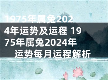 1975年属兔2024年运势及运程 1975年属兔2024年运势每月运程解析