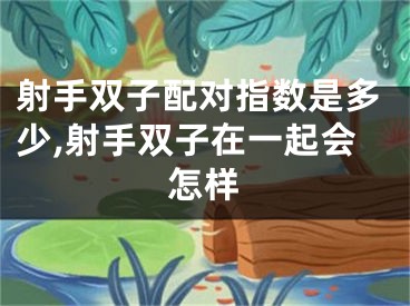 射手双子配对指数是多少,射手双子在一起会怎样