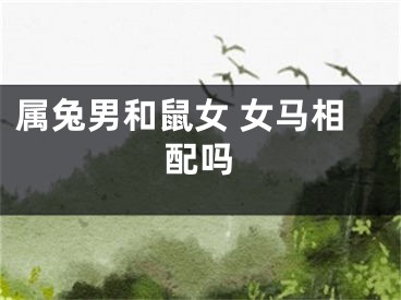 属兔男和鼠女 女马相配吗