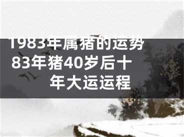 1983年属猪的运势 83年猪40岁后十年大运运程