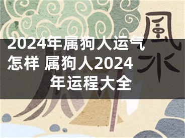 2024年属狗人运气怎样 属狗人2024年运程大全