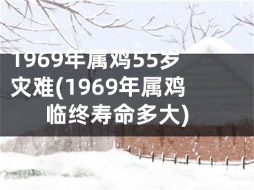 1969年属鸡55岁灾难(1969年属鸡临终寿命多大)