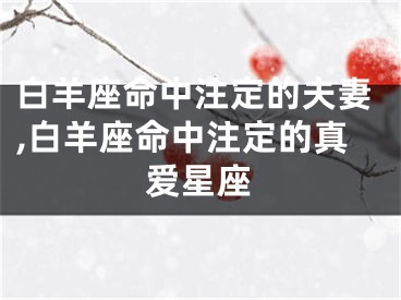 白羊座命中注定的夫妻,白羊座命中注定的真爱星座