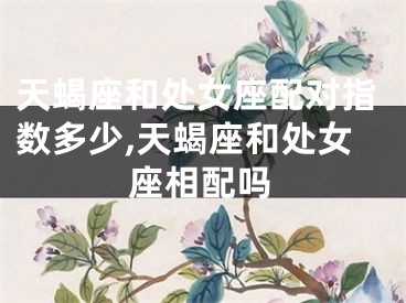 天蝎座和处女座配对指数多少,天蝎座和处女座相配吗