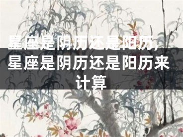 星座是阴历还是阳历,星座是阴历还是阳历来计算