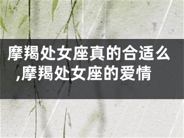 摩羯处女座真的合适么,摩羯处女座的爱情