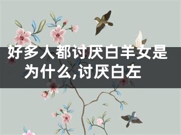 好多人都讨厌白羊女是为什么,讨厌白左