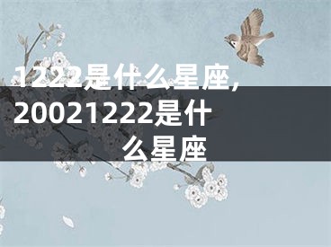 1222是什么星座,20021222是什么星座