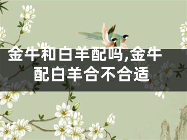 金牛和白羊配吗,金牛配白羊合不合适