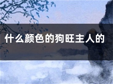 什么颜色的狗旺主人的