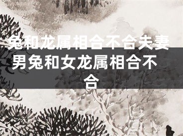 兔和龙属相合不合夫妻 男兔和女龙属相合不合