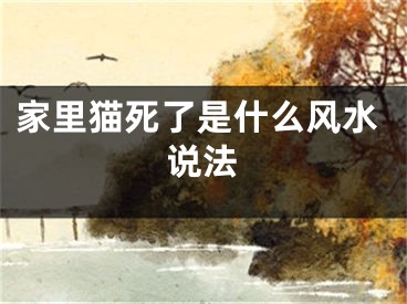 家里猫死了是什么风水说法
