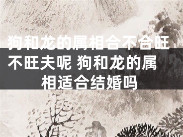 狗和龙的属相合不合旺不旺夫呢 狗和龙的属相适合结婚吗