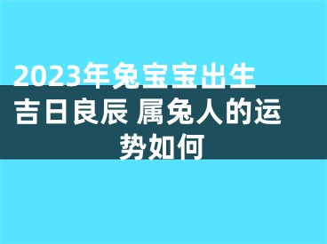 2023年兔宝宝出生吉日良辰 属兔人的运势如何