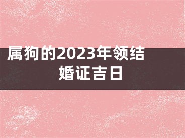 属狗的2023年领结婚证吉日