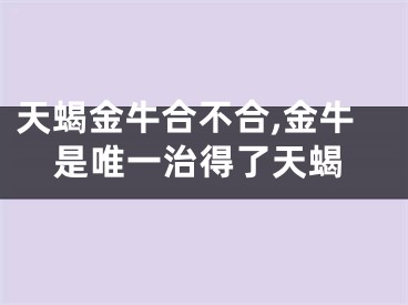 天蝎金牛合不合,金牛是唯一治得了天蝎