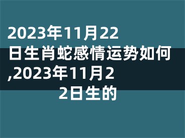 2023年11月22日生肖蛇感情运势如何,2023年11月22日生的