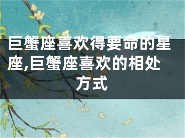 巨蟹座喜欢得要命的星座,巨蟹座喜欢的相处方式