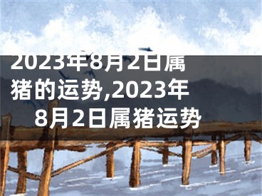 2023年8月2日属猪的运势,2023年8月2日属猪运势