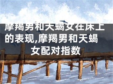 摩羯男和天蝎女在床上的表现,摩羯男和天蝎女配对指数