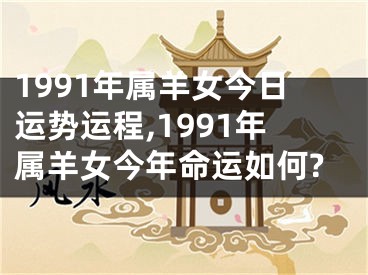 1991年属羊女今日运势运程,1991年属羊女今年命运如何?