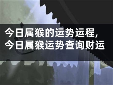 今日属猴的运势运程,今日属猴运势查询财运