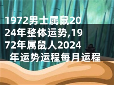 1972男士属鼠2024年整体运势,1972年属鼠人2024年运势运程每月运程